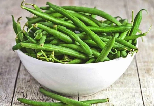 China's Green Bean Export Plummets to $7M in June 2023